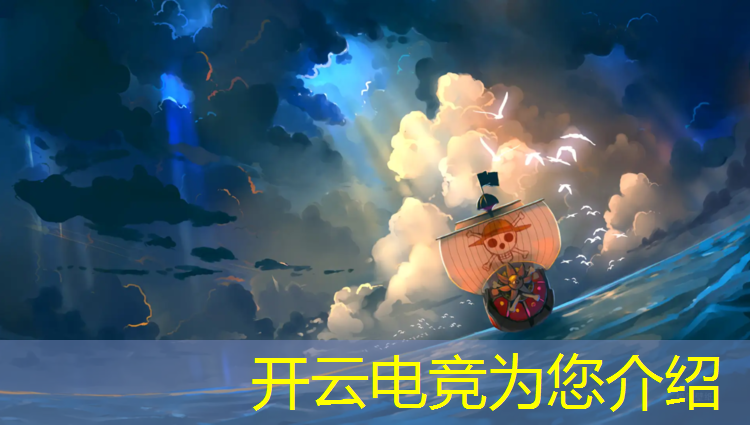 kaiyun·开云电竞为您介绍：电竞赛事组织策划公司